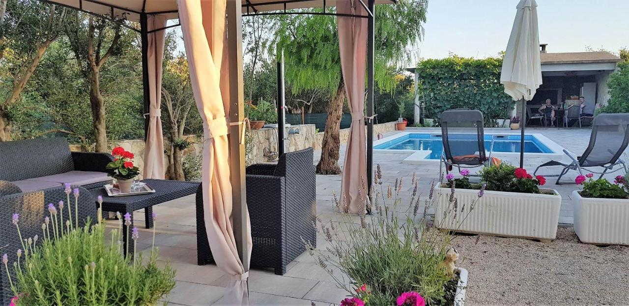 רוגוזניצה Villa Stella מראה חיצוני תמונה